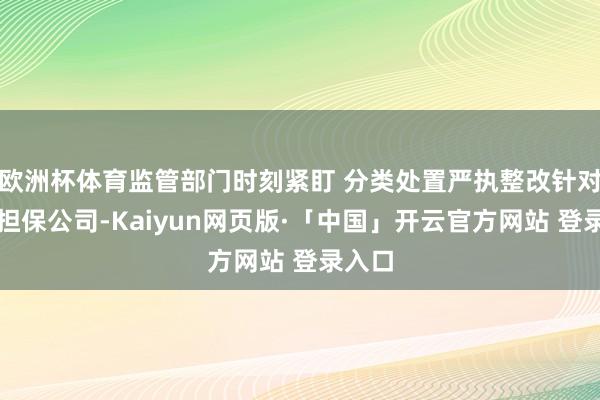 欧洲杯体育监管部门时刻紧盯 分类处置严执整改针对占用担保公司-Kaiyun网页版·「中国」开云官方网站 登录入口